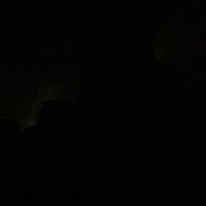 Meet your Posher, Joani